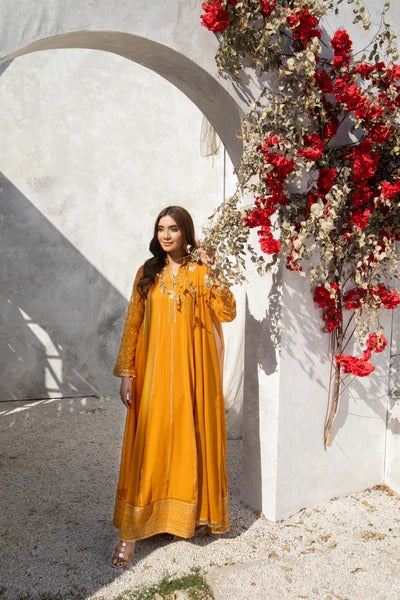 Orange Embroided Maxi