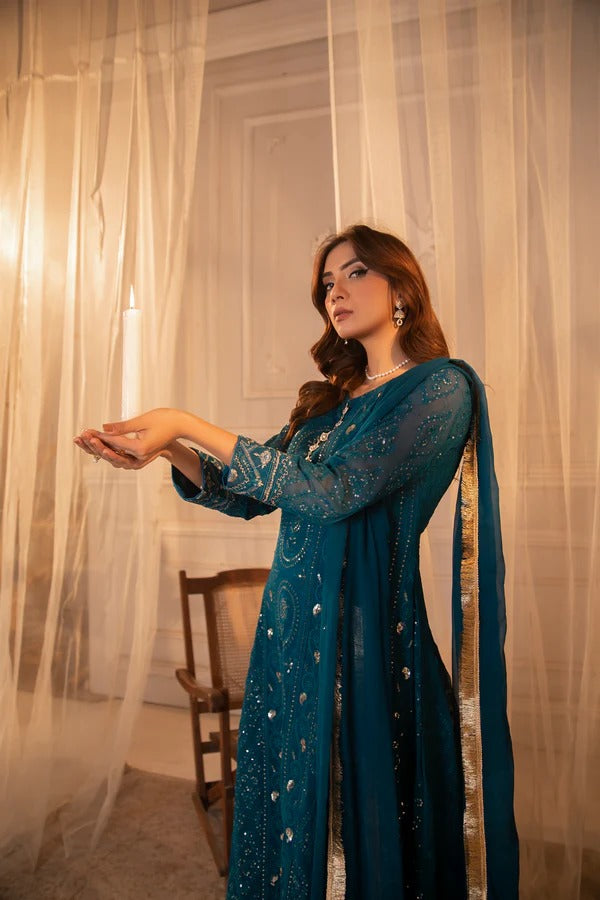 Zinc Chiffon Embroided Frock