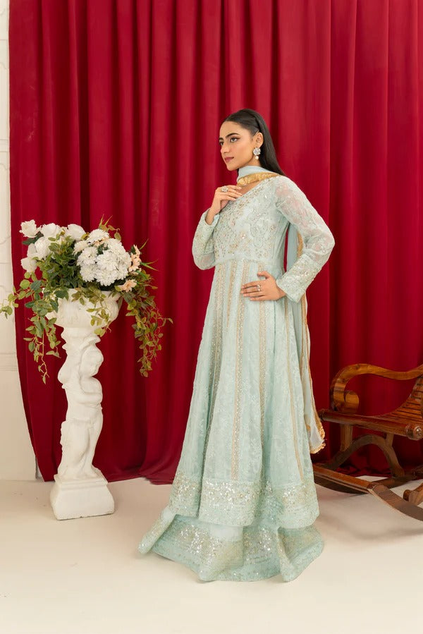 Ice Blue Chiffon Embroided Maxi