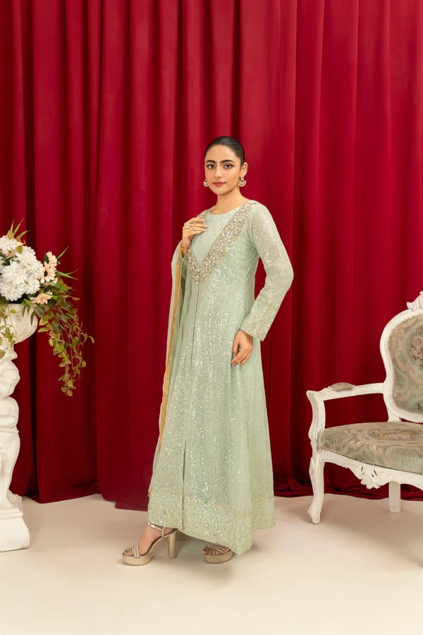 Mint Green Chiffon Embroided Gown