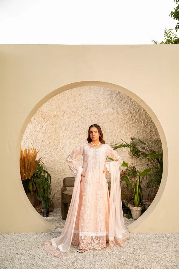 Peach Net Embellished Maxi