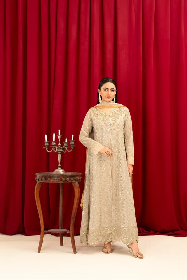 Beige Chiffon Embellished Maxi