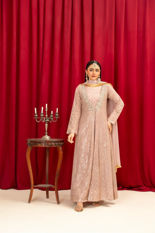 Lilac Chiffon Embroided Gown