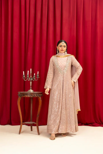 Lilac Chiffon Embroided Gown