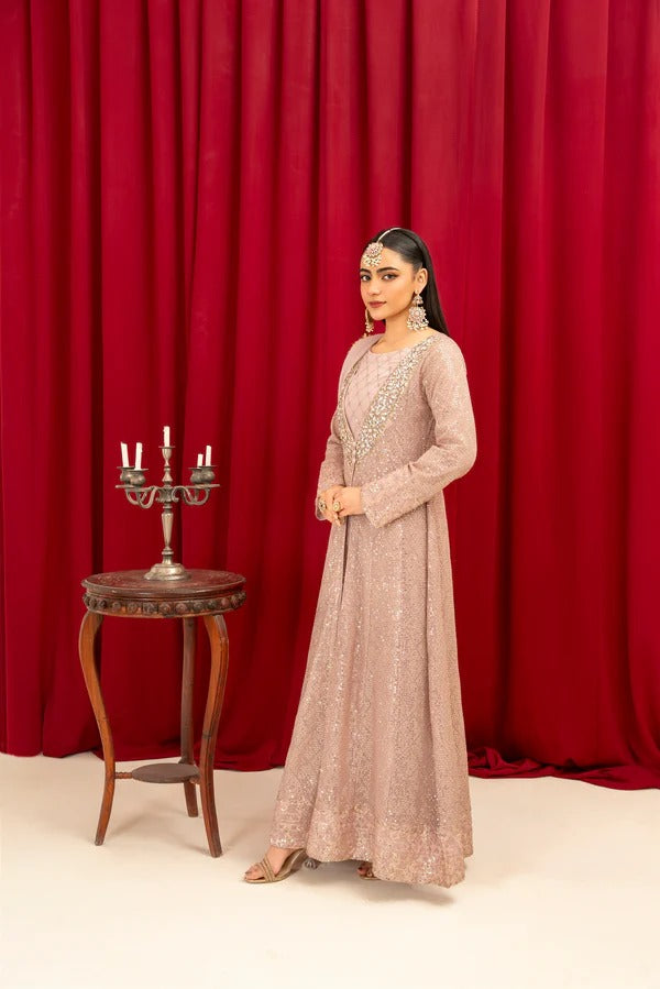 Lilac Chiffon Embroided Gown