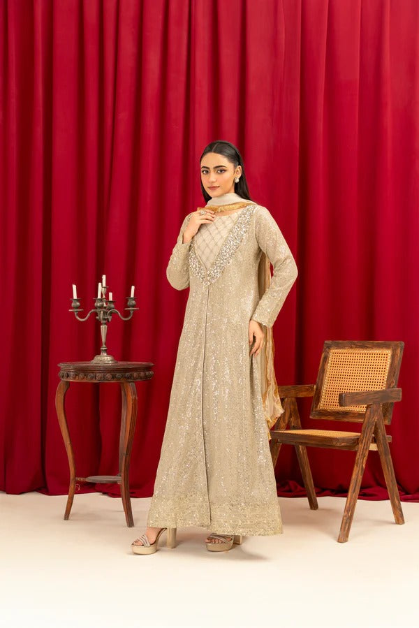 Camel Brown Chiffon Emroided Gown
