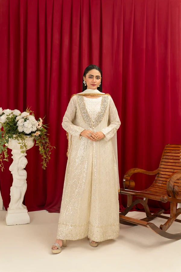 Off White Chiffon Embroided Gown