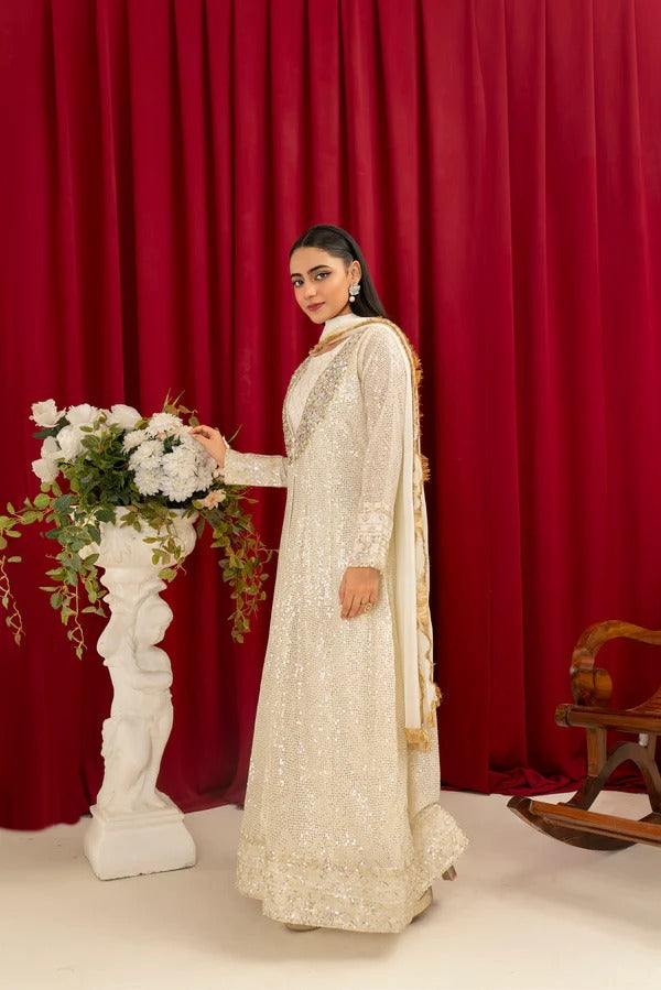 Off White Chiffon Embroided Gown