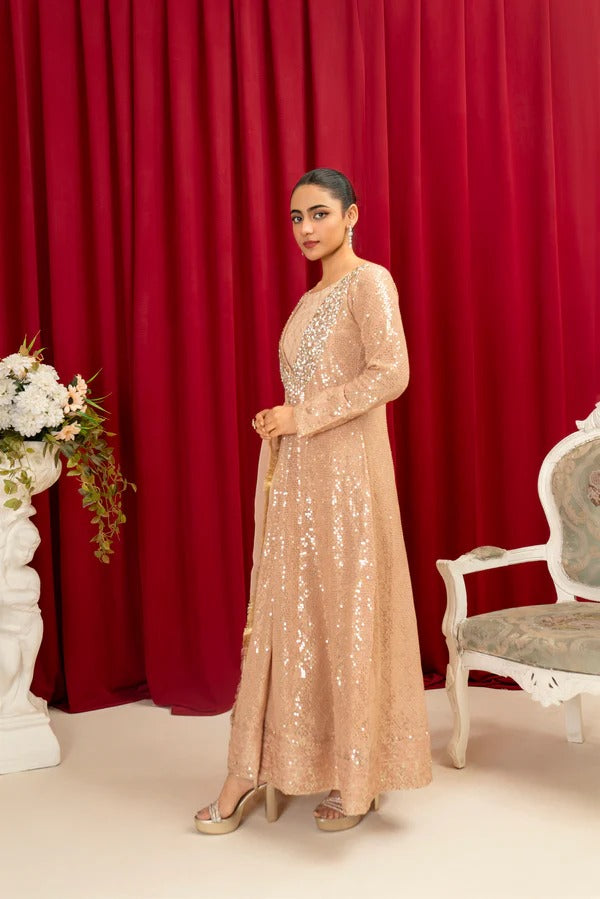 Peach Chiffon Emroided Gown