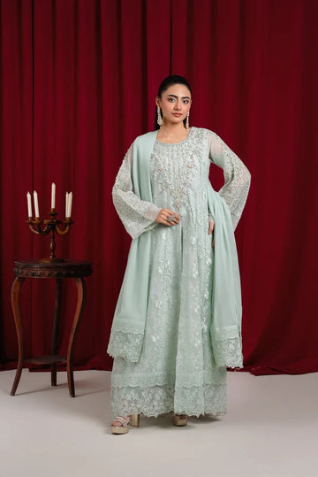 Mint Green Net Embellished Maxi