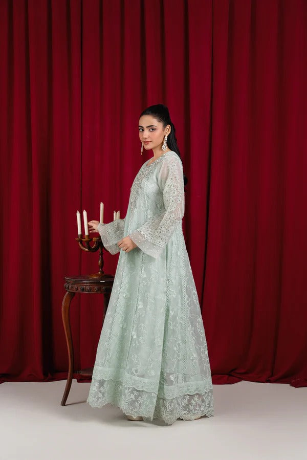 Mint Green Net Embellished Maxi